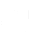 Nns Logo Icon White 1