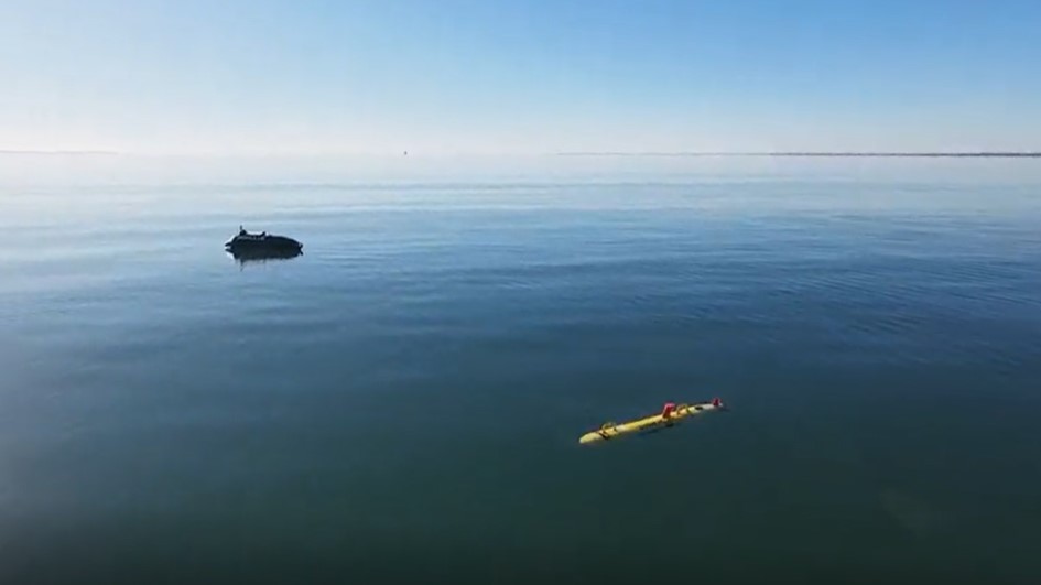 Featured Romulus Remus